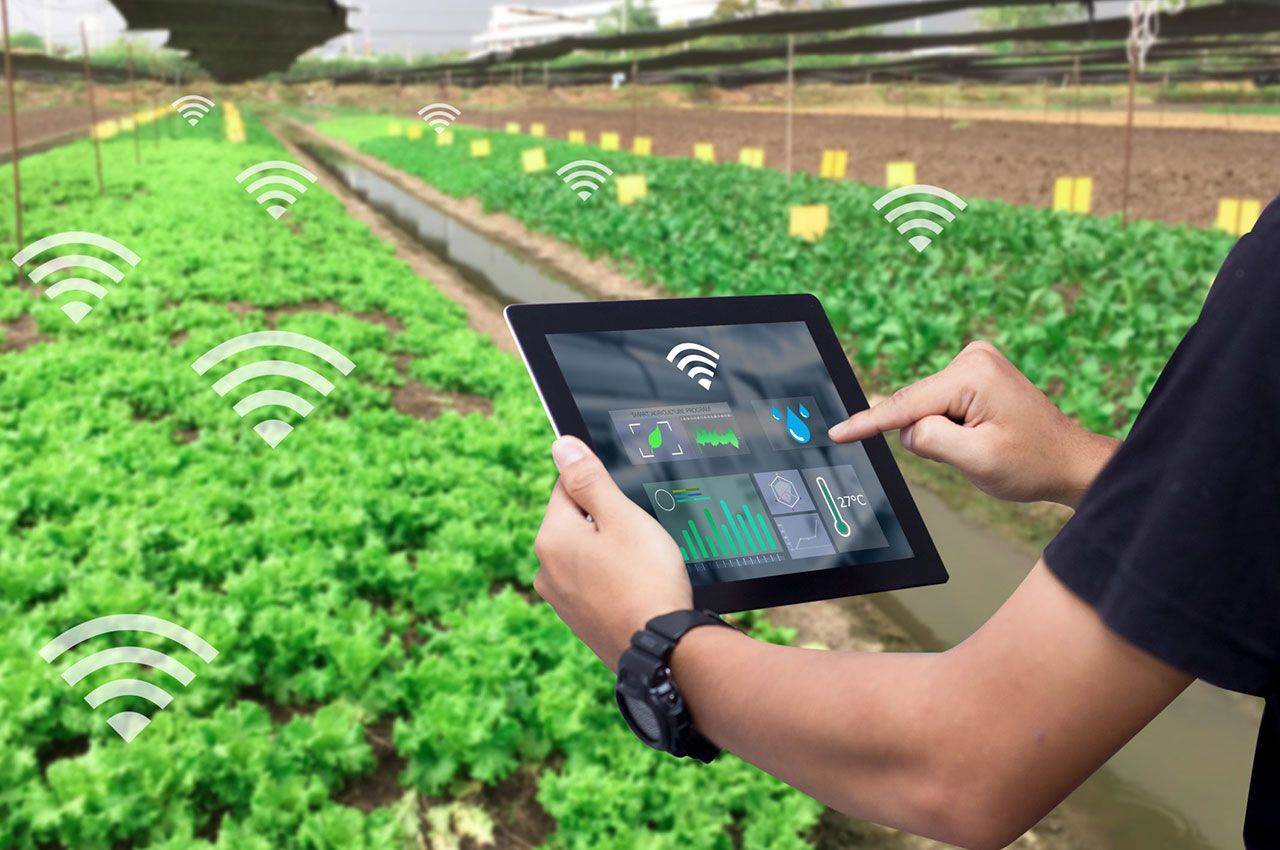 領(lǐng)航鄉(xiāng)村振興 5G智慧農(nóng)業(yè)助力數(shù)字農(nóng)業(yè)革新