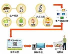 智慧農(nóng)業(yè)新篇章 蔬菜種子二維碼溯源與支付結(jié)算一體化系統(tǒng)